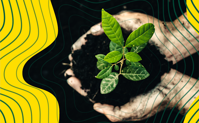 How To Nudge Consumers Toward Environmental Sustainability