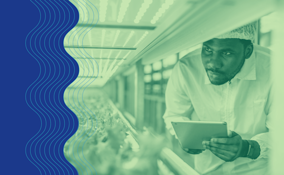 Assess Your Readiness To Plan BT Strategies