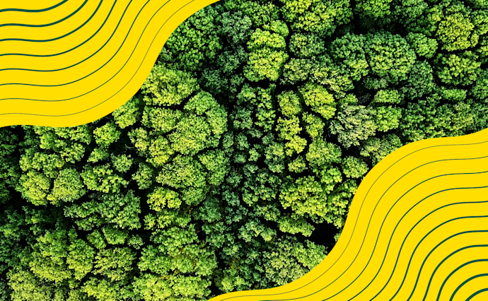 The Forrester Wave™: Climate Risk Analytics Software, Q2 2025
